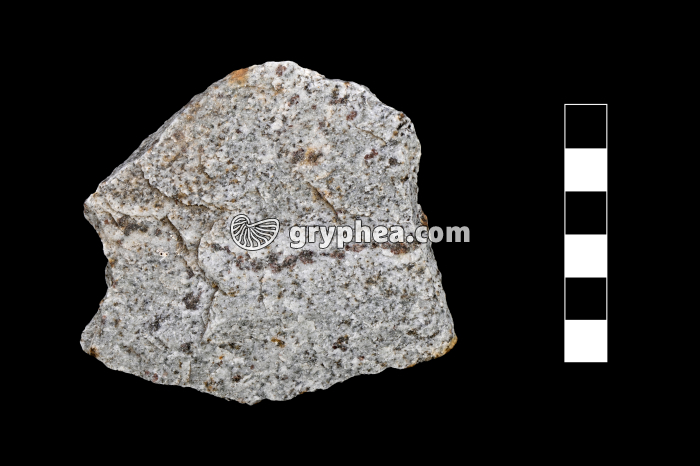 Micaschiste - échantillon - gryphea.com